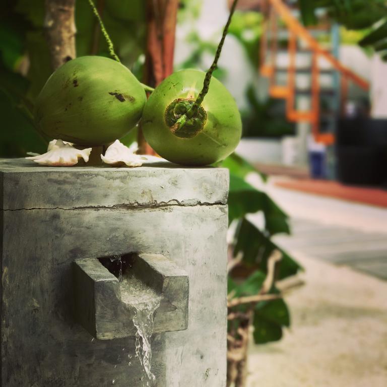 Veli Vilaa Dhiffushi Luaran gambar
